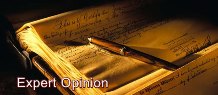 Expert Opinion